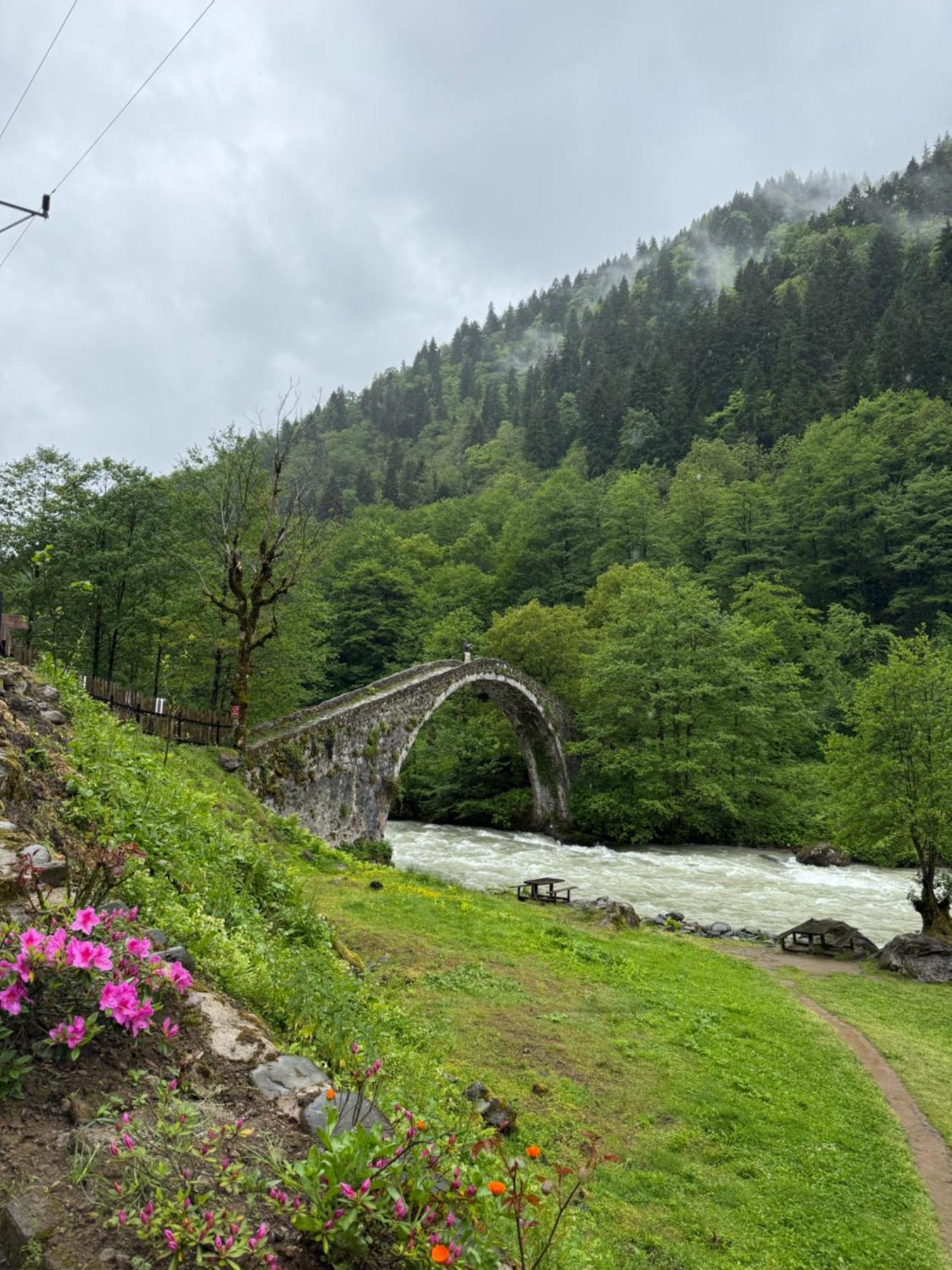 Berona Dag Evleri Çamlıhemşin المظهر الخارجي الصورة